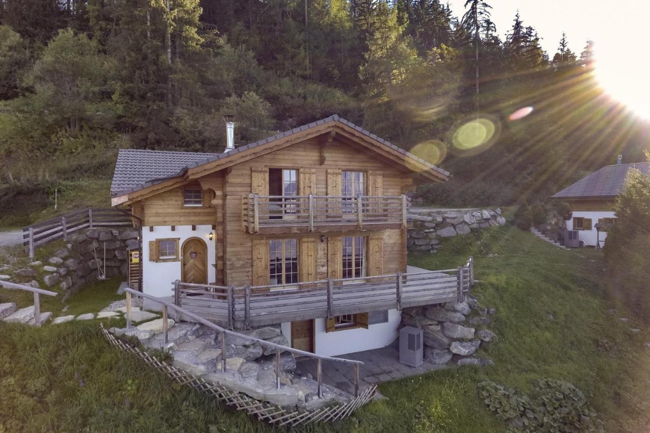 Chalet Aurelia Villa La Tzoumaz Dış mekan fotoğraf